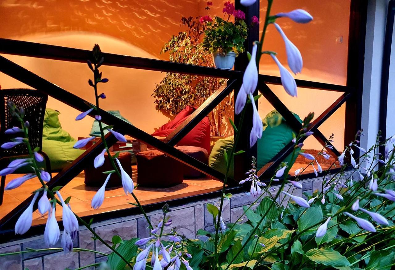 Villa Zenko 브리우코비치 외부 사진