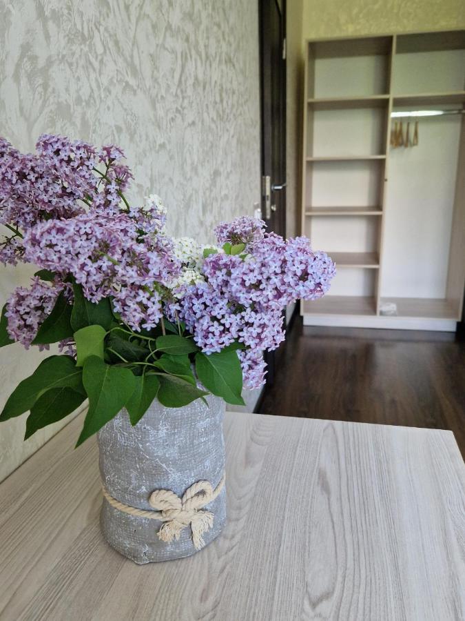 Villa Zenko 브리우코비치 외부 사진