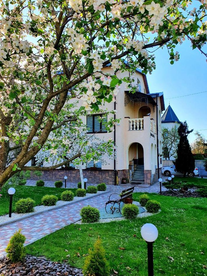Villa Zenko 브리우코비치 외부 사진